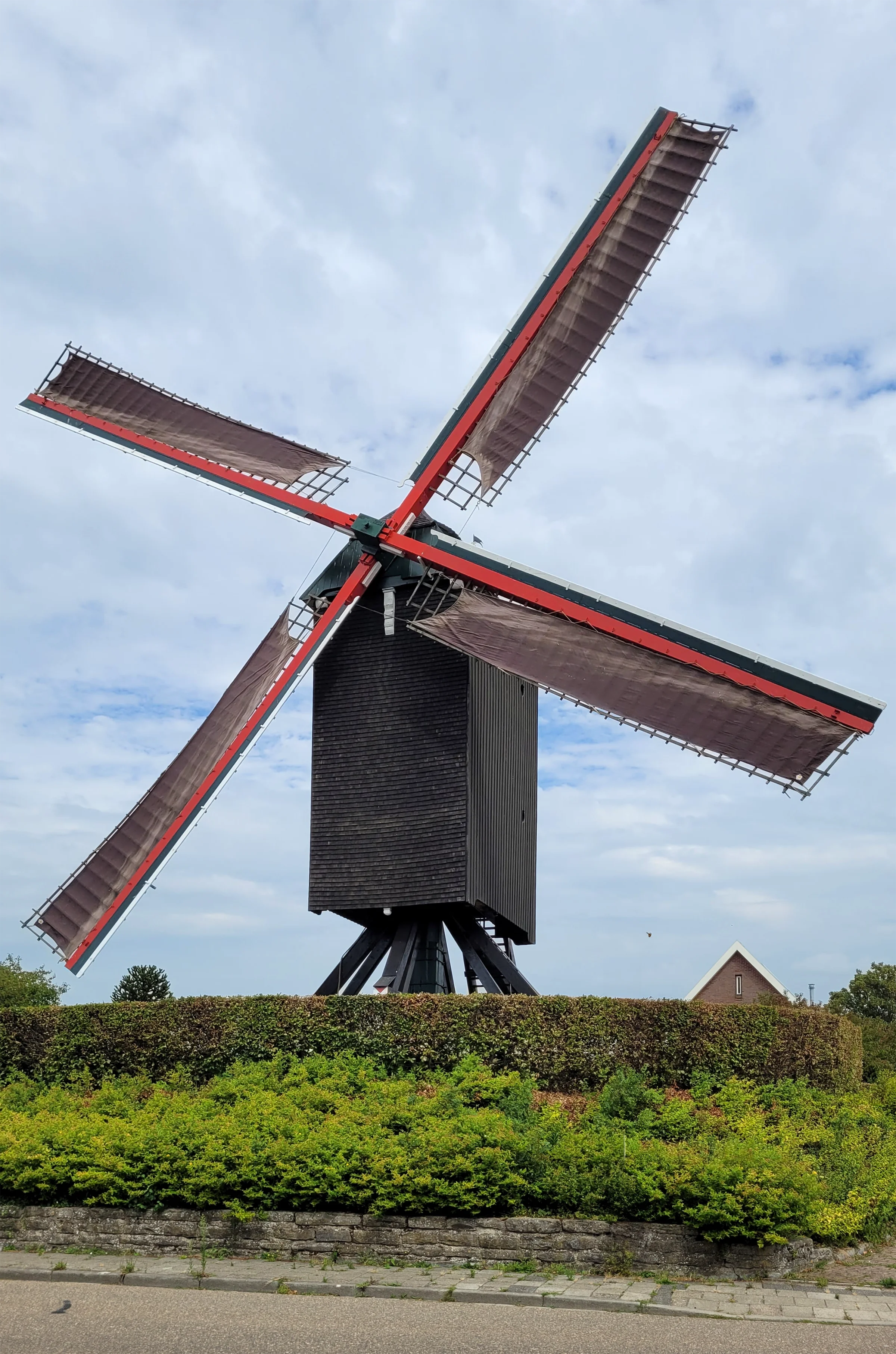 Patrick Desmedt (26-07-2025) | Database Nederlandse molens media-bestand