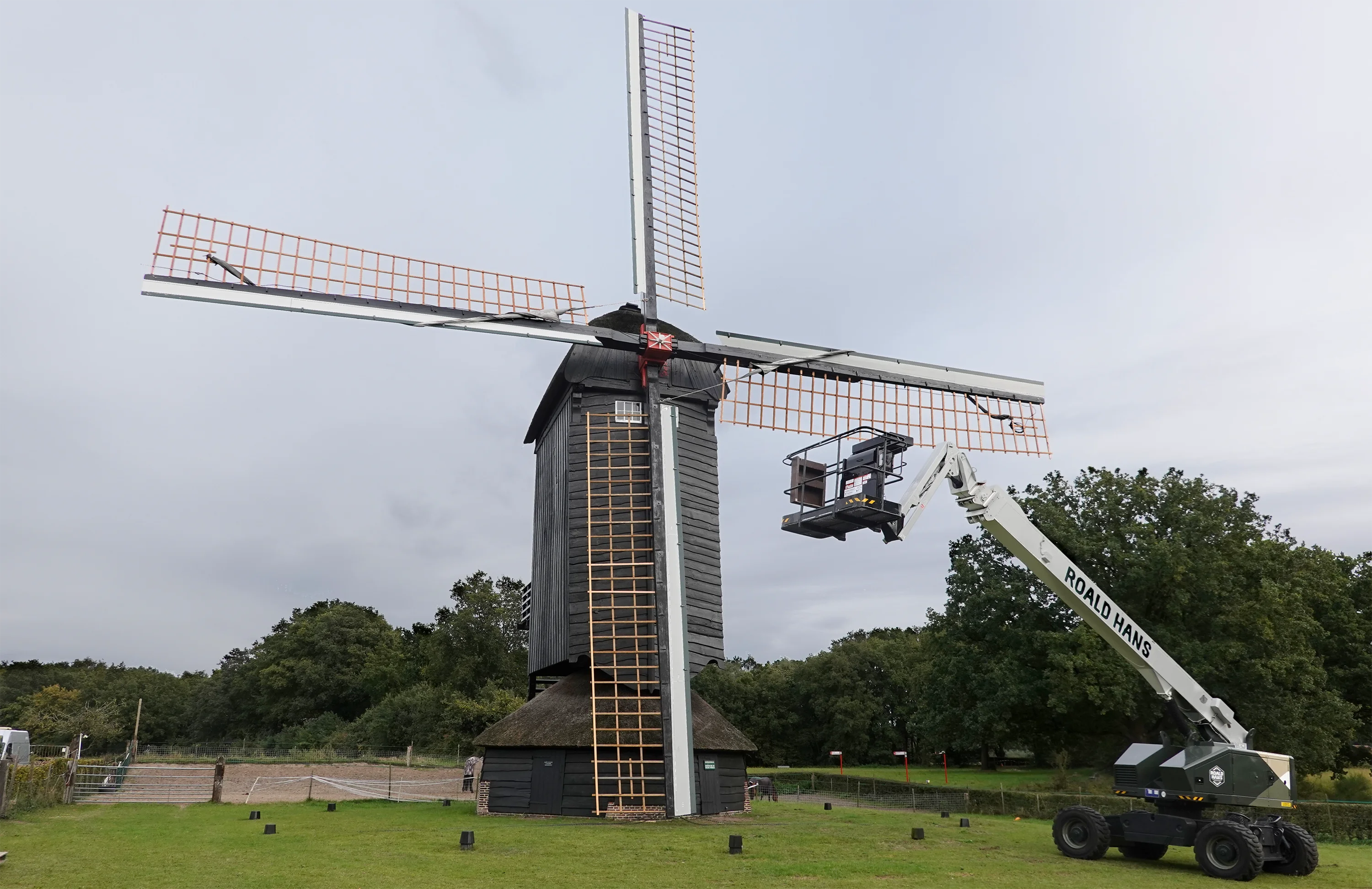Aalf Wijnia (25-09-2025) Ruim een jaar stond de molen met maar 2 wieken. Sinds 25 september staat de molen weer met 4 wieken. | Database Nederlandse molens media-bestand