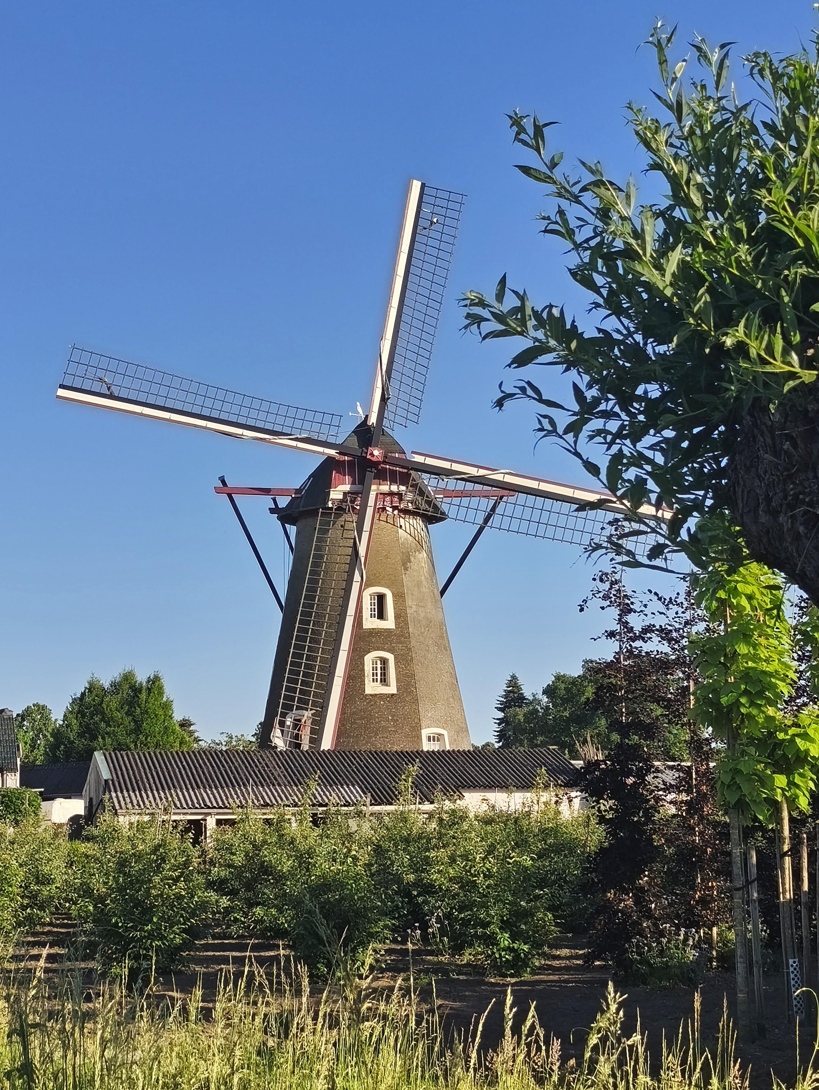 Rens Essinger (26-05-2026) | Database Nederlandse molens