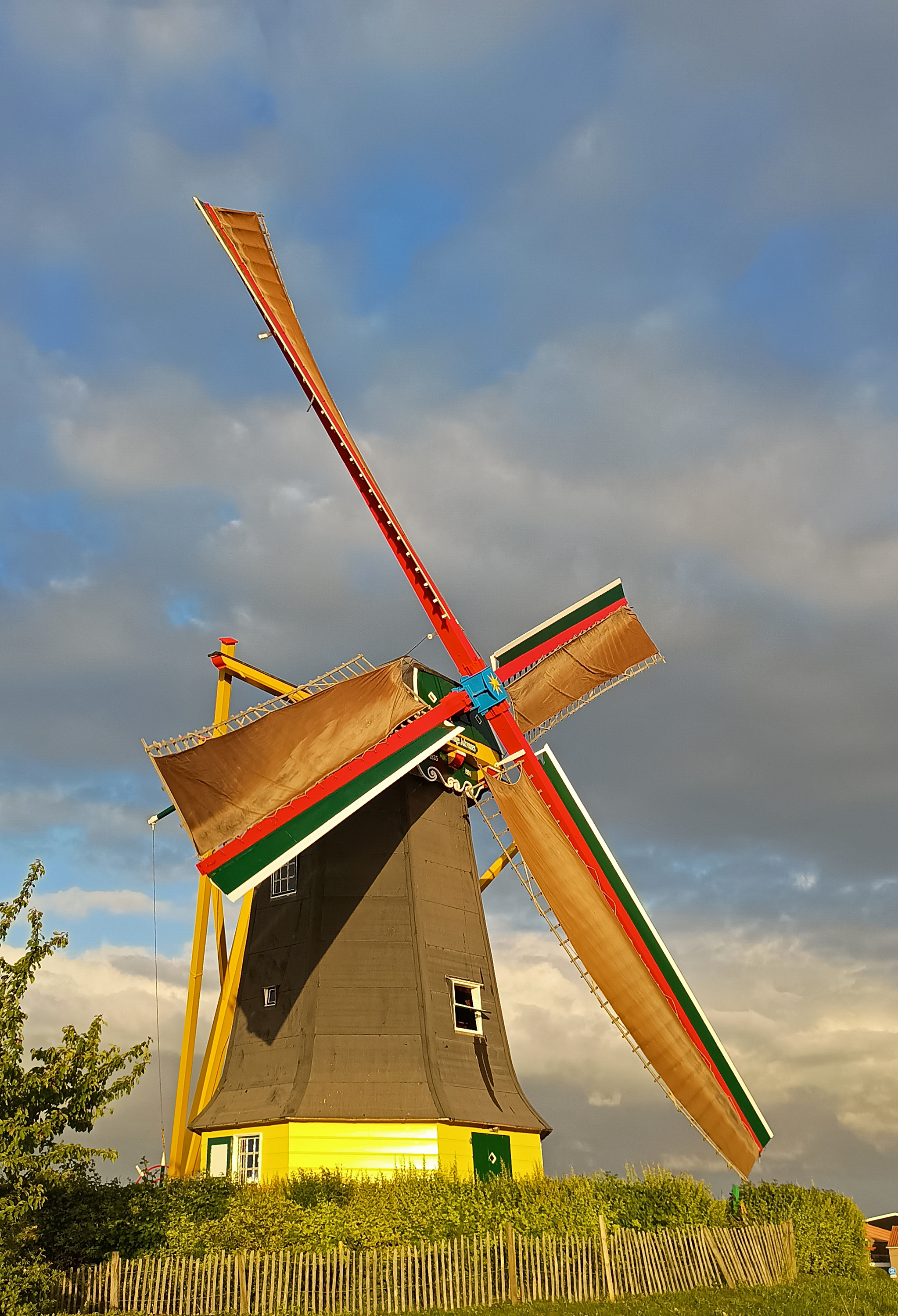 Anthony Joziasse (05-06-2026)
De molen weer draaiend na de restauratie. Nog met een paar tijdelijke zeilen. | Database Nederlandse molens