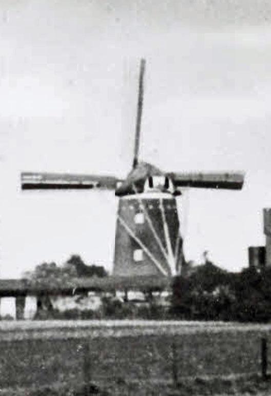 1, Molen 03135 Coopsmolen / Molen van Coops (Halle), Ansichtkaart, uitsnede | Database Nederlandse molens media-bestand