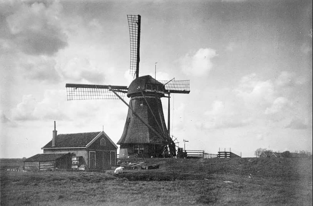 1, Molen 00055 Gnephoekpolder, Gnephoekmolen (3e) (Alphen aan den Rijn), Foto onbekend, collectie DVM | Database Nederlandse molens media-bestand