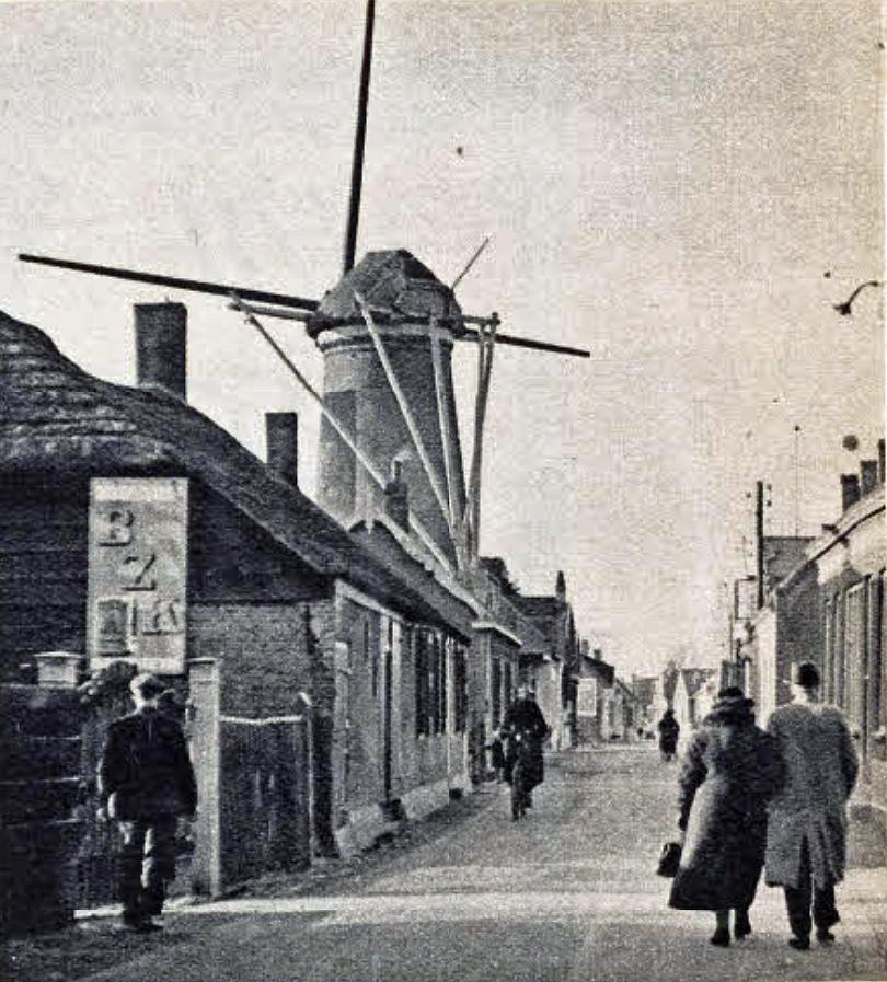 4, Molen 01263 De Hoop (Barendrecht), Ansichtkaart, de molen met kale roeden kort voor de afbraak  | Database Nederlandse molens media-bestand