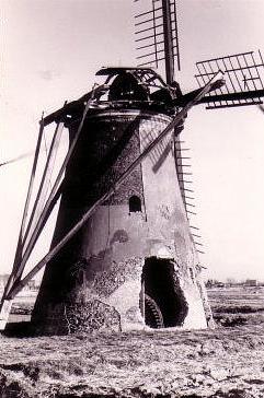 3, Molen 00985 Bosch- en Gasthuispolder, Boschhuizermolen (Leiden), Foto J. de Groot, opname 1957 | Database Nederlandse molens media-bestand