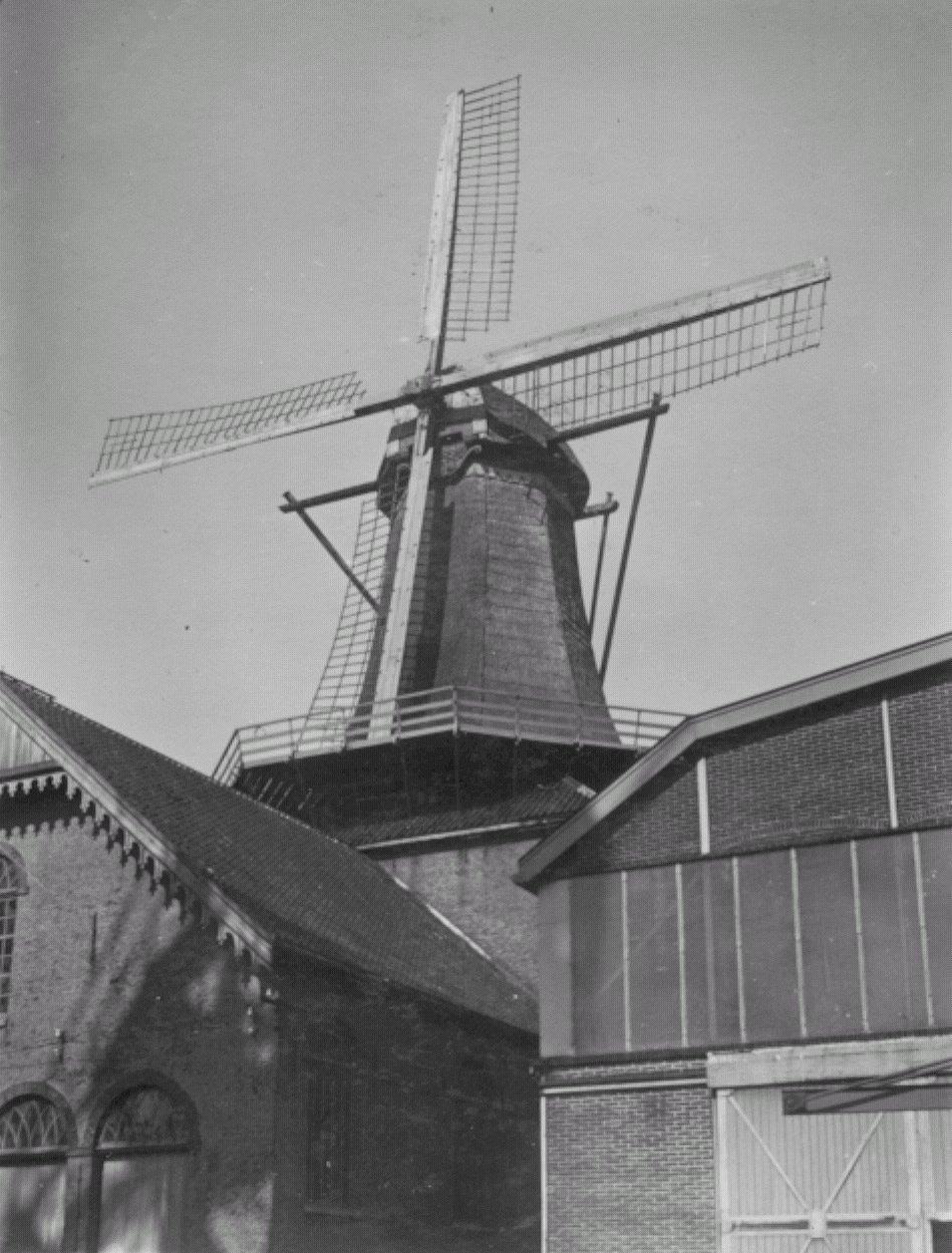 3, Molen 01512 Ons Genoegen (Alblasserdam), Foto collectie T. Meesters | Database Nederlandse molens media-bestand