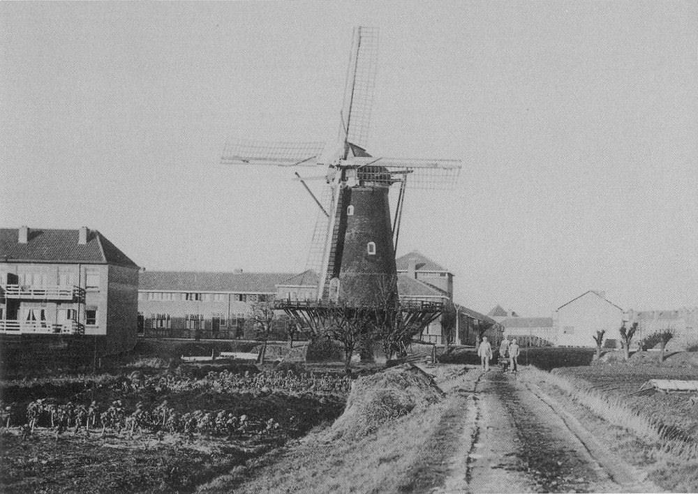 2, Molen 01271 Willem de Tweede (Dubbeldam), Ansichtkaart, collectie D. van Asperen | Database Nederlandse molens media-bestand