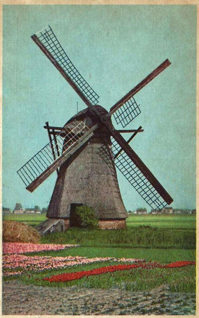 1, Molen 01045 Zemelpolder, Zemelmolen (Lisse), Ansichtkaart, collectie DVM | Database Nederlandse molens media-bestand