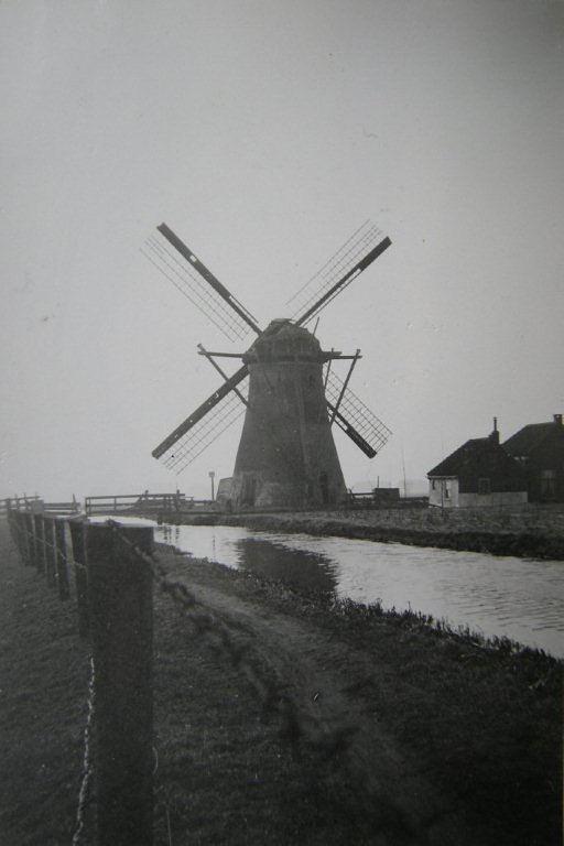 8, Molen 00985 Bosch- en Gasthuispolder, Boschhuizermolen (Leiden), Foto A.A. v.d. Meij, opname 1955/56 | Database Nederlandse molens media-bestand