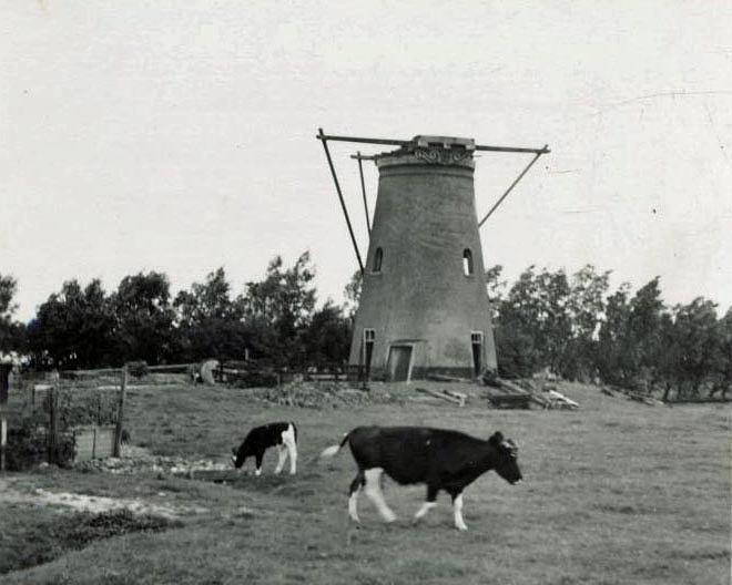 3, Molen 01070 Eskamppolder / Escamppolder (Den Haag), Foto onbekend, collectie DVM | Database Nederlandse molens media-bestand