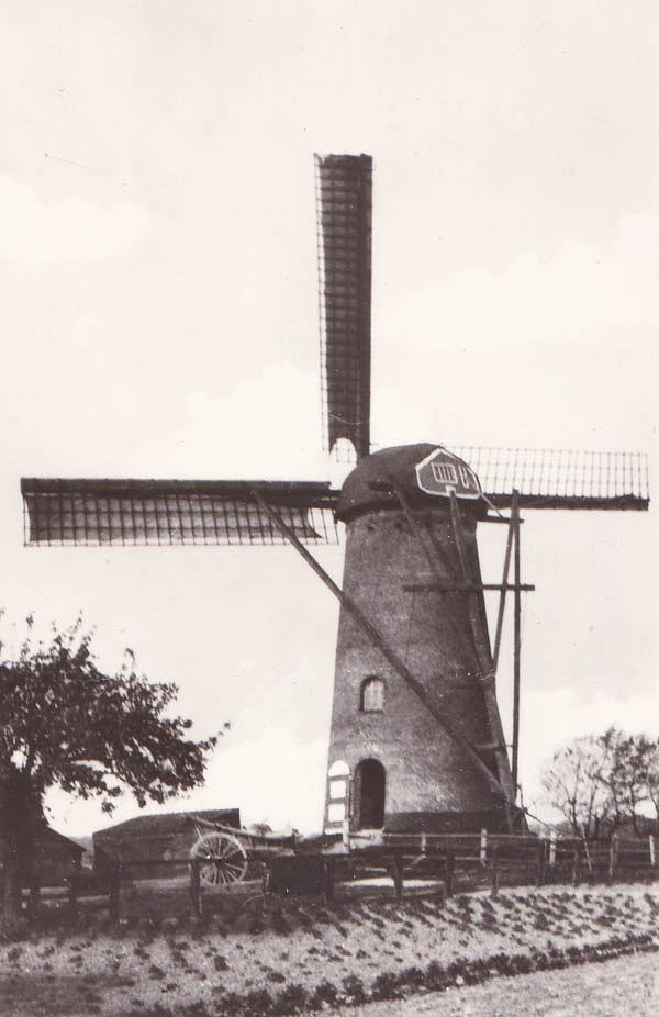 1, Molen 01672 Molen van Aalbregtse (Cadzand), Ansichtkaart, serie 45 nr 3, coll. DVM | Database Nederlandse molens media-bestand