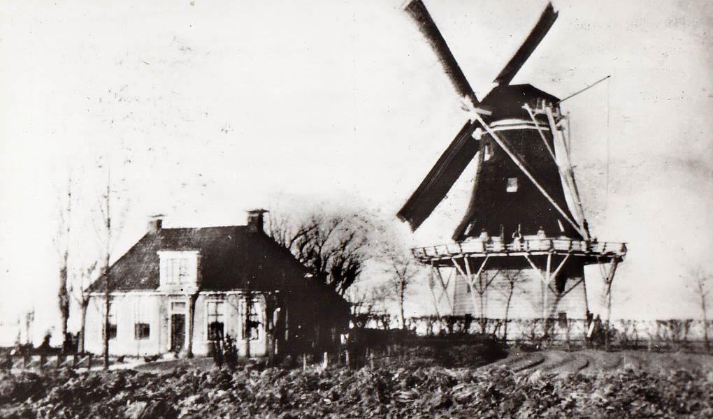 1, Molen 03039 a De Reiger / Sijtsma's Molen (Hallum), Ansichtkaart, serie 33 nr 2, coll. DVM | Database Nederlandse molens media-bestand