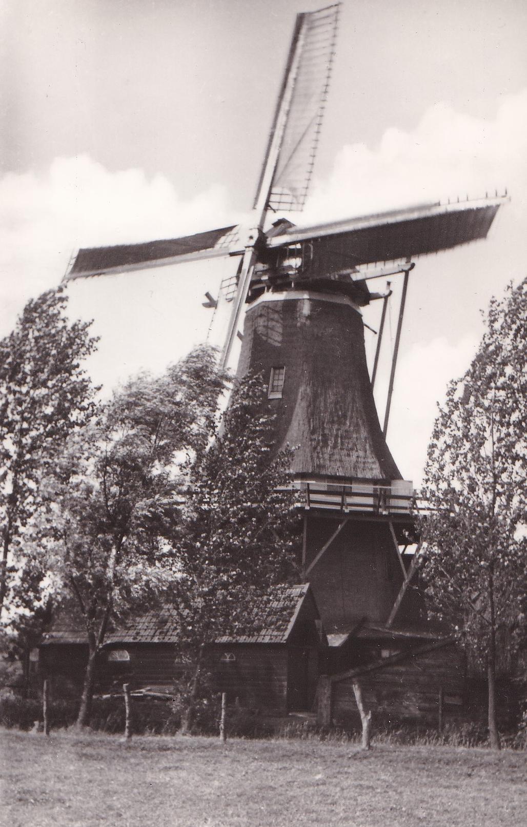 1, Molen 01259 De Hoop (Ruinerwold), Ansichtkaart serie 32 nr 5, Foto W.O. Bakker, opname 1941, collectie DVM | Database Nederlandse molens media-bestand