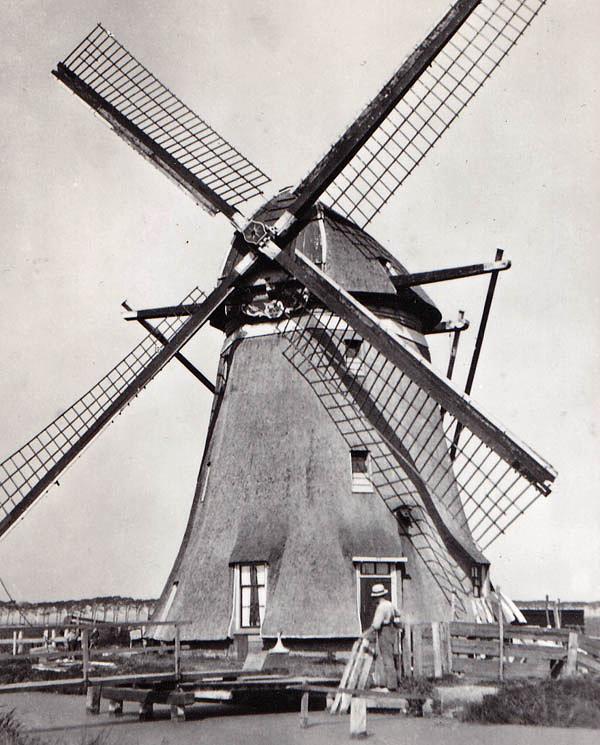 1, Molen 01158 Westbroekpolder, Zuidbuurtse molen (Zoeterwoude), Ansichtkaart, serie 20, nr 4, coll DVM | Database Nederlandse molens media-bestand