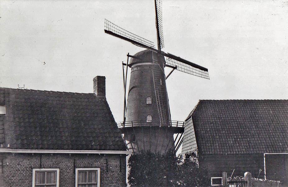 1, Molen 01674 De Meermin (Terhofstede), Ansichtkaartserie 18 nr 4, foto D.P. Cornelisse, coll. DVM | Database Nederlandse molens media-bestand