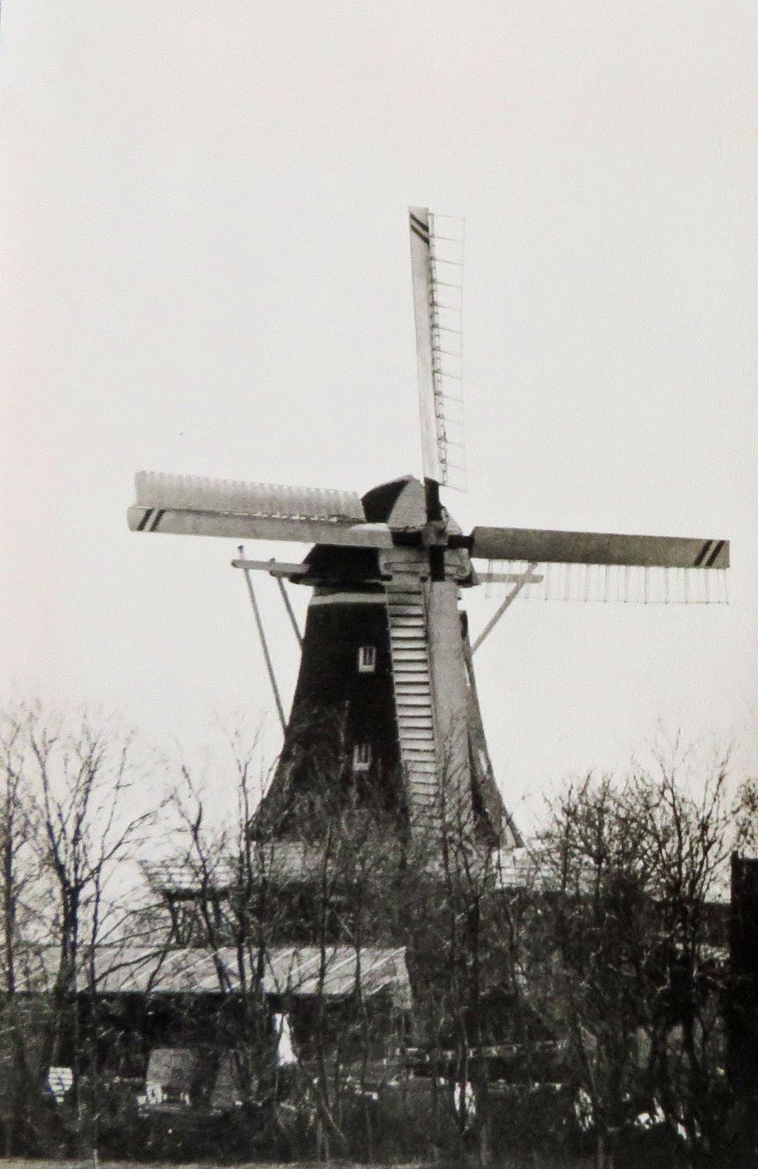 2, Molen 04439 Windlust (Burum/ Boerum), Foto P. Grund, coll. DVM | Database Nederlandse molens media-bestand