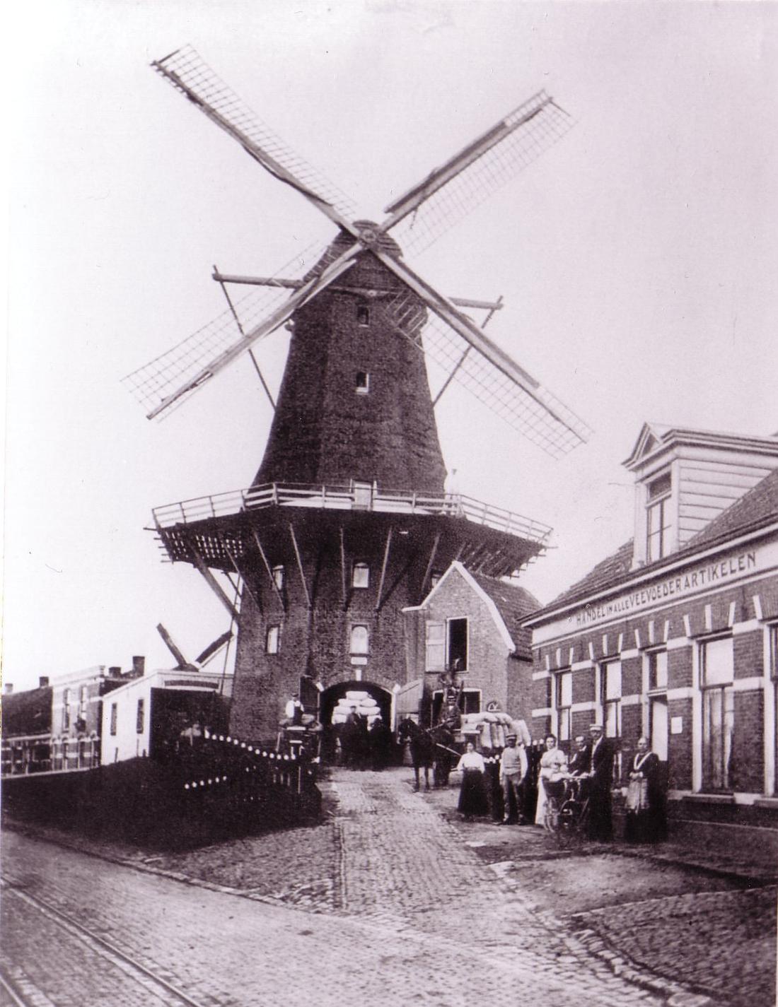 Molen 01838 l De Beltmolen van Marsman (Zwolle), Foto: collectie G.H.Varwijk, op de achtergrond zijn nog net de wieken van De Vlijt te zien | Database Nederlandse molens media-bestand