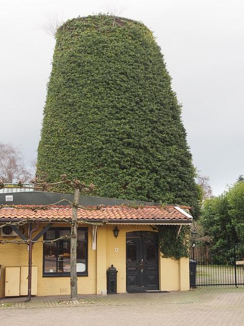 4, Molen 00875 Reyrinksmolen (Silvolde), Fot S. Boumans, 18-01-2020 | Database Nederlandse molens media-bestand