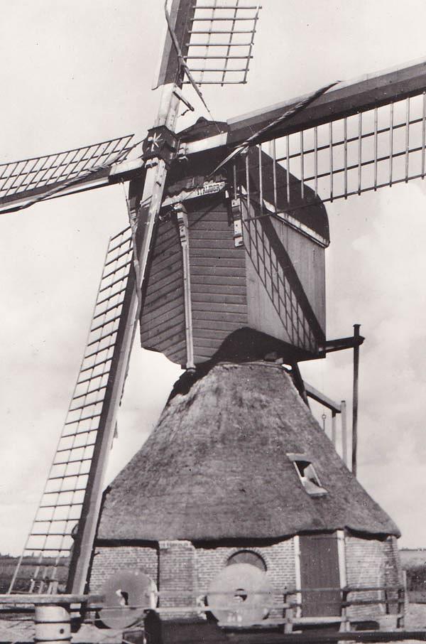 Molen 00002 De Oudstrijder (Breukeleveen), Ansichtkaart, Voerman, serie, nr 10, coll. DVM | Database Nederlandse molens media-bestand