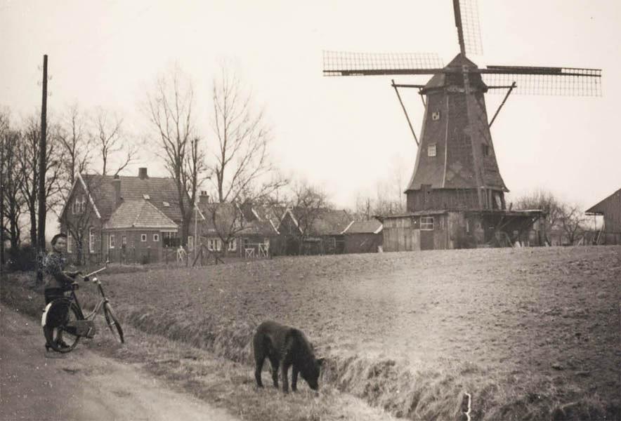 2, Molen 02671 Molen de Vrede (Enschede), Afb. coll. A. Nibbelink | Database Nederlandse molens media-bestand