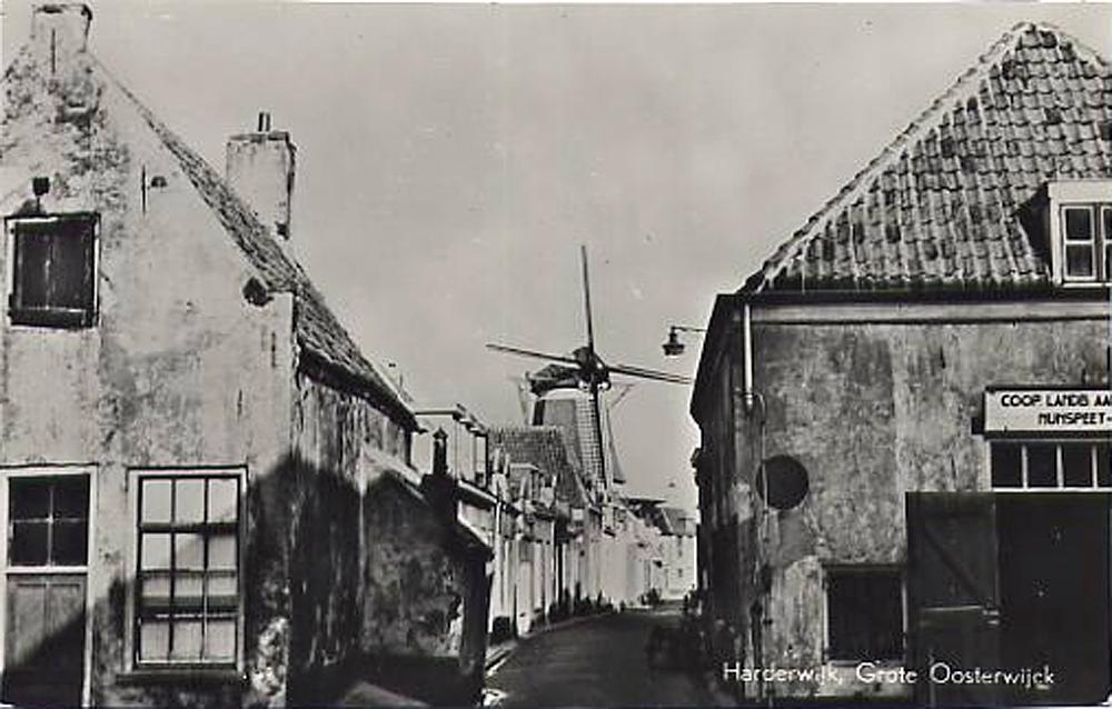 1, Molen 01237 De Hoop (Harderwijk), coll. DVM | Database Nederlandse molens media-bestand