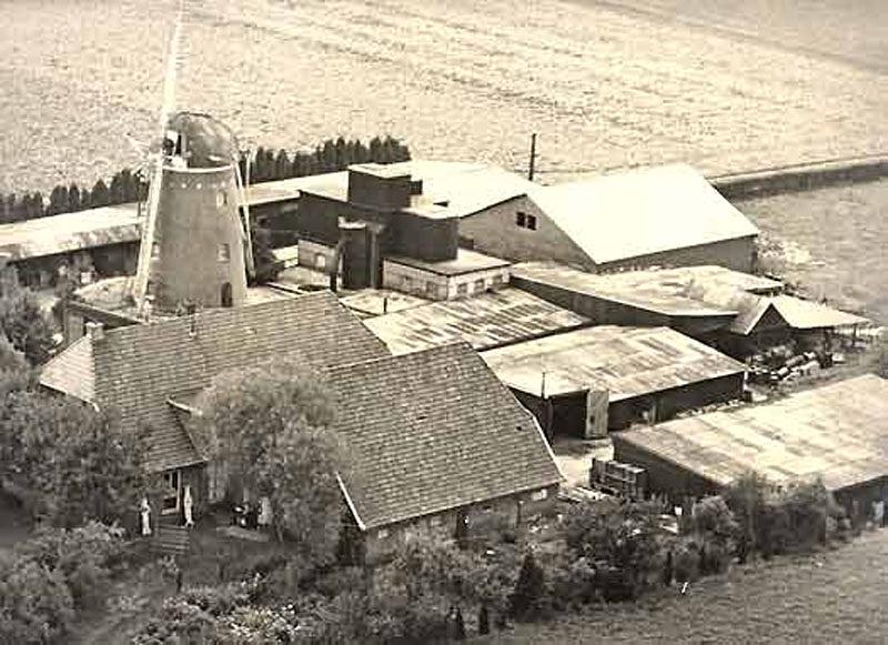 1, Molen 03135 Coopsmolen / Molen van Coops (Halle), Foto coll. DVM, de molen met één roede | Database Nederlandse molens media-bestand