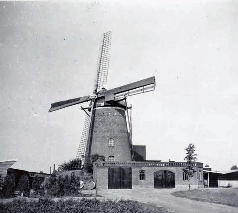 Molen 03135 Coopsmolen / Molen van Coops (Halle), foto coll. DHM, de molen met één Bilau-wieksysteem en één met Oud-Hollands wieksysteem | Database Nederlandse molens media-bestand