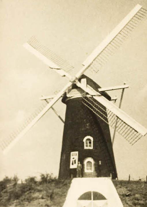 Molen 01963 De Oude Steenen Molen (opvolger) (Heijen), Afb. coll. DHM. | Database Nederlandse molens media-bestand