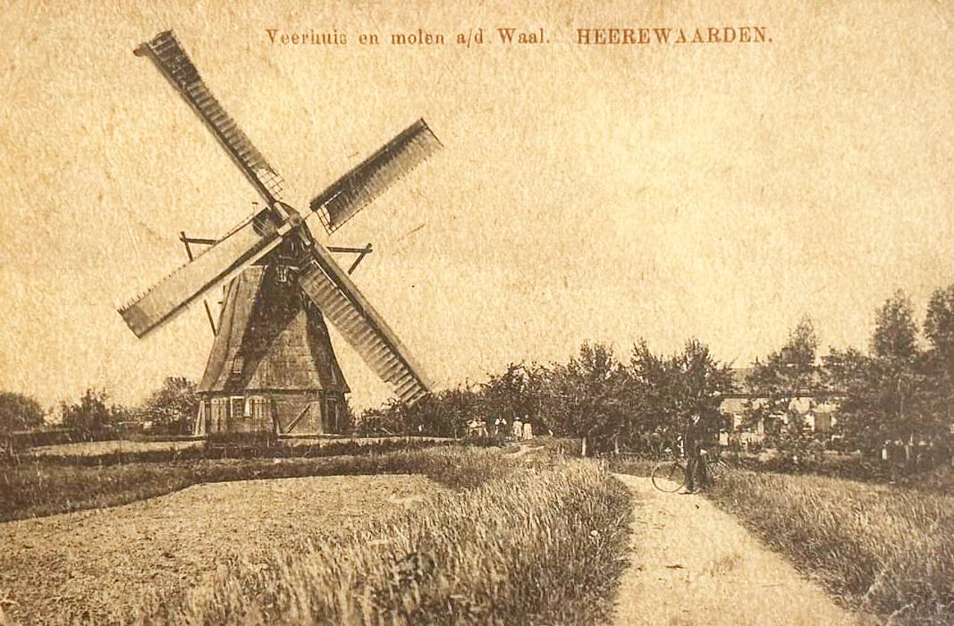 1, Molen 02475 Korenmolen van Ambrosius (Heerewaarden), Ansichtkaart coll. Ton Meesters | Database Nederlandse molens media-bestand