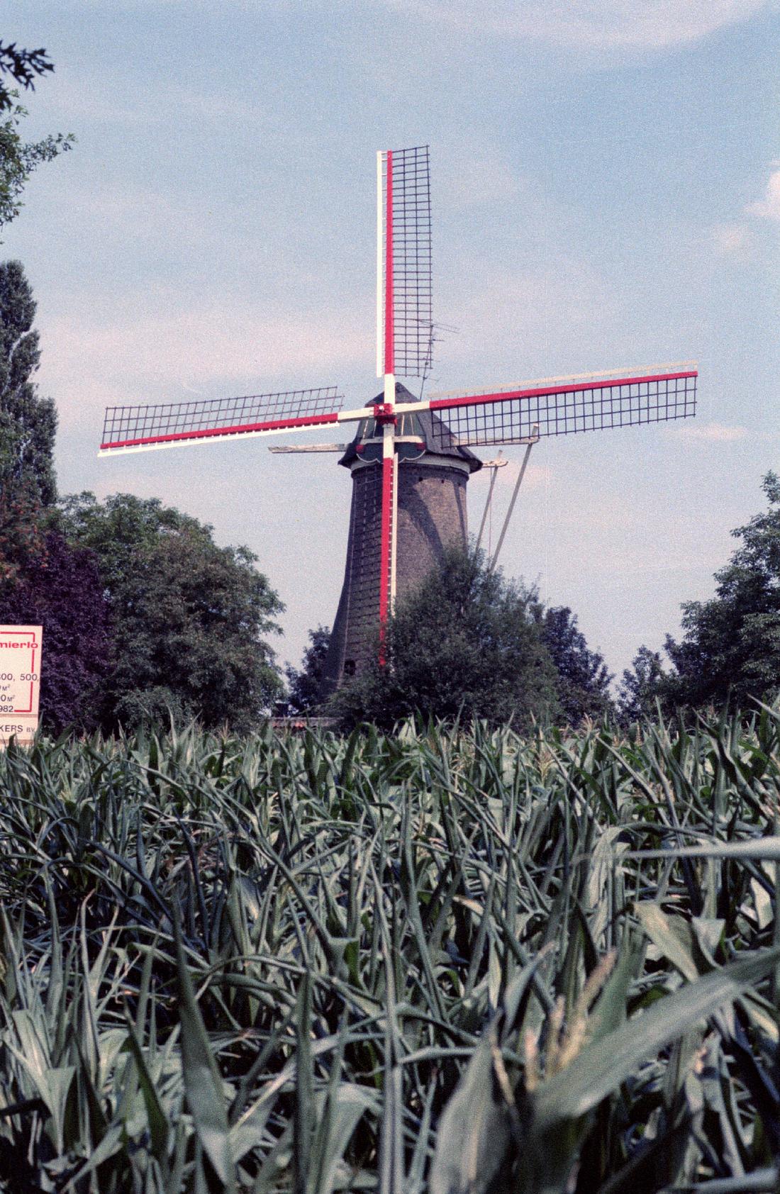 1, Molen 01570 Elderse Molen / De Ellenaar (Mierlo), Foto van Jaap Doets, opname 01-08-1982 | Database Nederlandse molens media-bestand