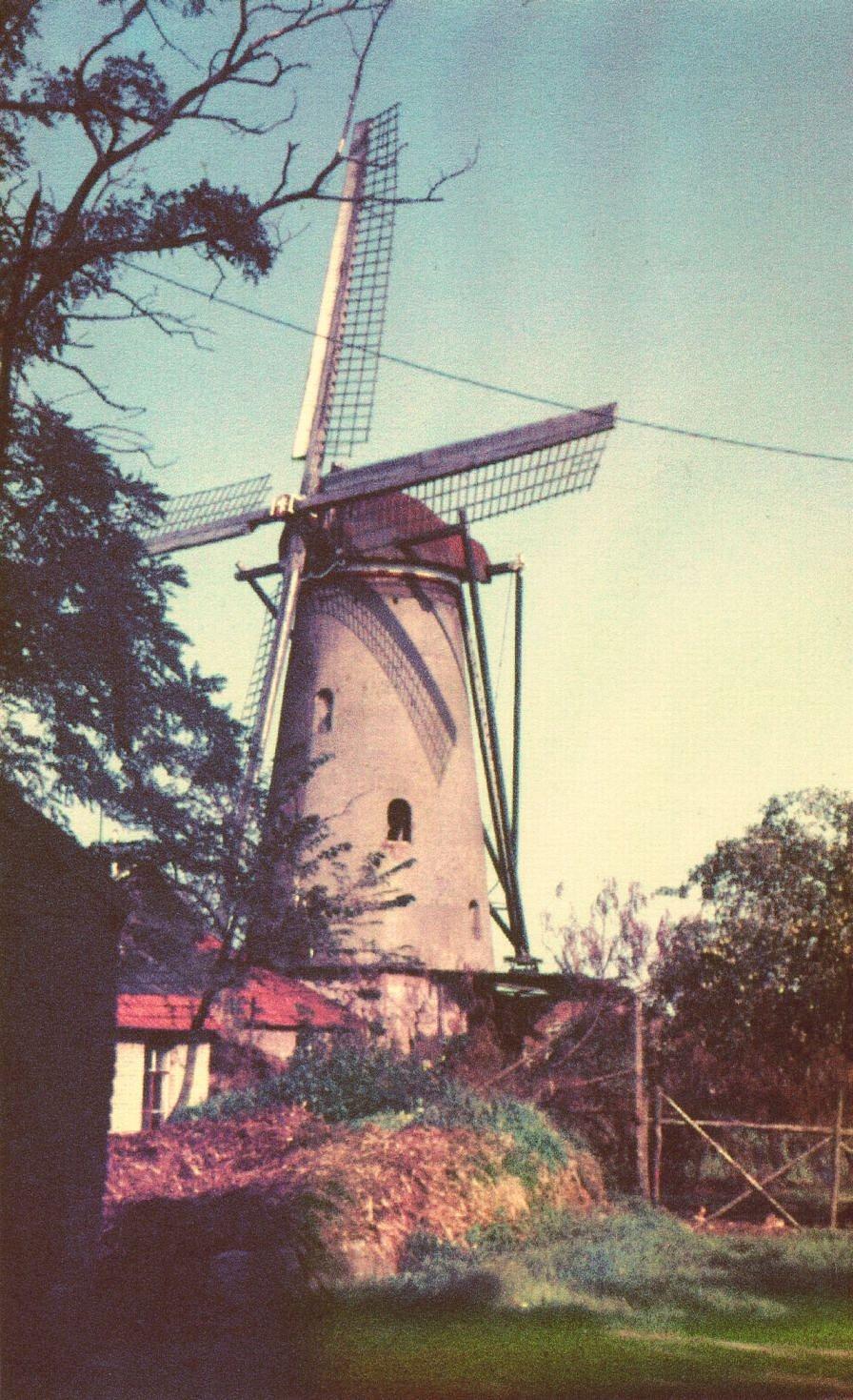 2, Molen 02582 Anna (Berghem), foto N. Jurgens, opn. 1966 | Database Nederlandse molens media-bestand