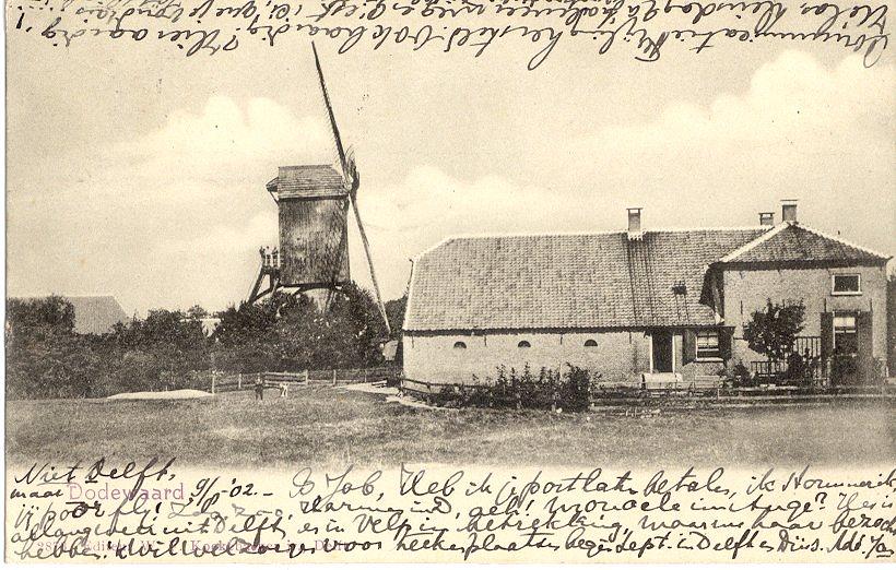 1, Molen 01609 a Korenmolen van Dodewaard (Dodewaard), Ansichtkaart, collectie van Ton Meesters | Database Nederlandse molens media-bestand