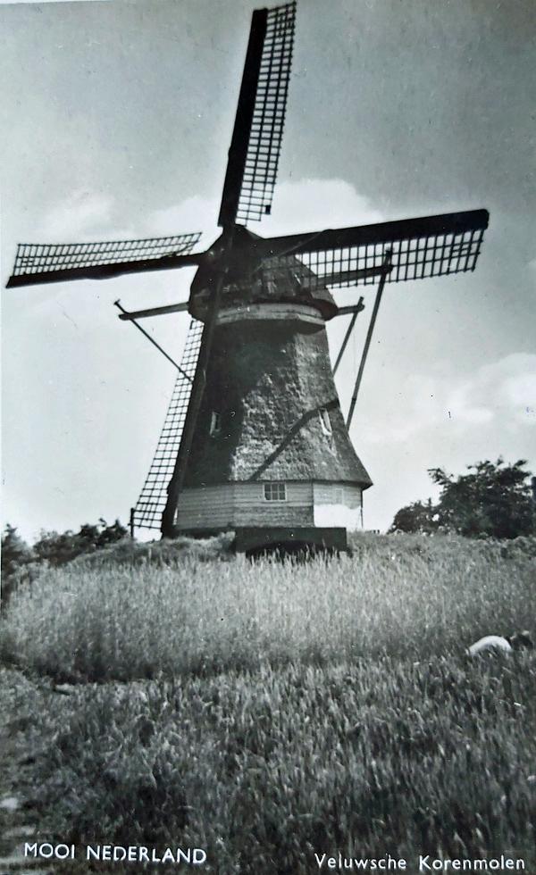 3, Molen 01238 Molen Kisjes / De Hoop (Hierden), Ansichtkaart, coll. H. Noot | Database Nederlandse molens media-bestand
