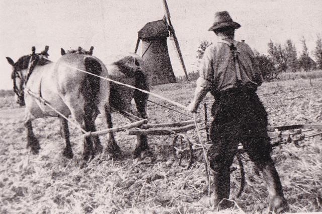 2, Molen 02767 Polder Nieuw Pendrecht, Pendrechtse molen (Rotterdam, stadsdeel Charlois), Foto coll. DVM | Database Nederlandse molens media-bestand