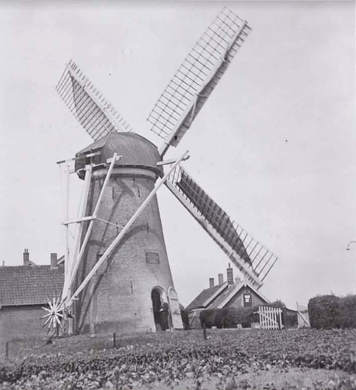 5, Molen 02766 De Kersenboom (Rijsoord), Foto collectie DVM | Database Nederlandse molens media-bestand