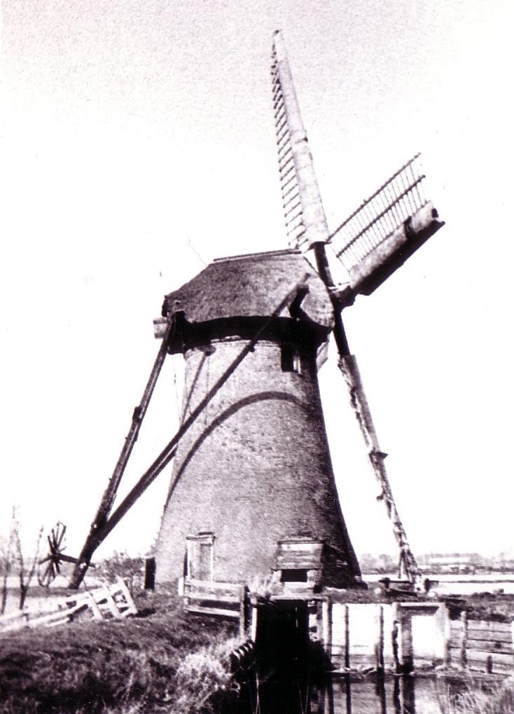 1, Molen 02767 Polder Nieuw Pendrecht, Pendrechtse molen (Rotterdam, stadsdeel Charlois), Foto van de molen op de oude standplaats, collectie DVM | Database Nederlandse molens media-bestand