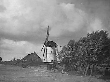 1, Molen 03608 De Greupmolen (Westmaas), foto coll. N. de Groot | Database Nederlandse molens media-bestand