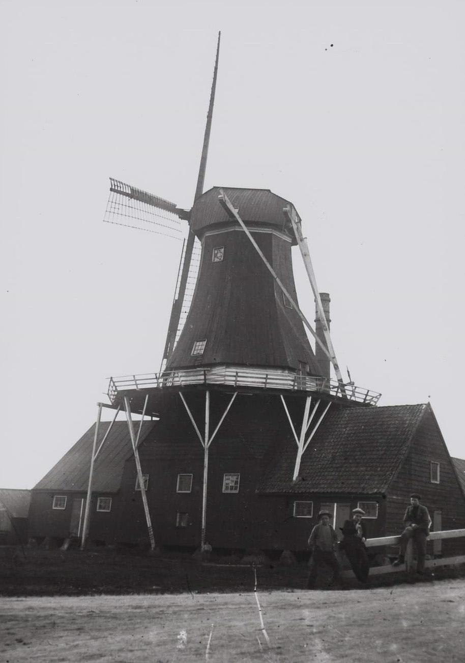 1, Molen 06406 b (oliemolen) (Mensingeweer),  | Database Nederlandse molens media-bestand