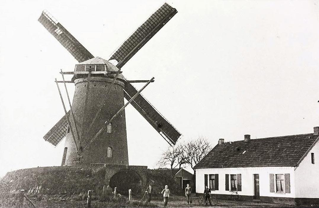 1, Molen 00220 Molen van familie Peters (Maasbree), Ansichtkaart DVM | Database Nederlandse molens media-bestand