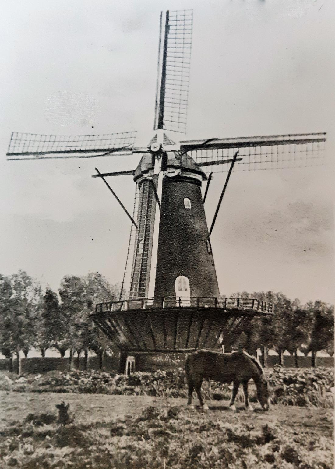 4, Molen 01271 Willem de Tweede (Dubbeldam), Foto coll. DVM | Database Nederlandse molens media-bestand