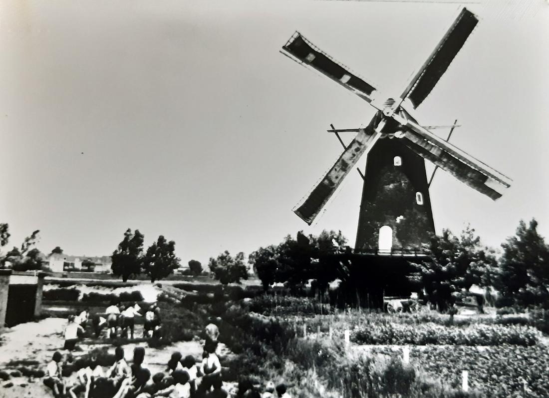 5, Molen 01271 Willem de Tweede (Dubbeldam), Foto coll. DVM | Database Nederlandse molens media-bestand