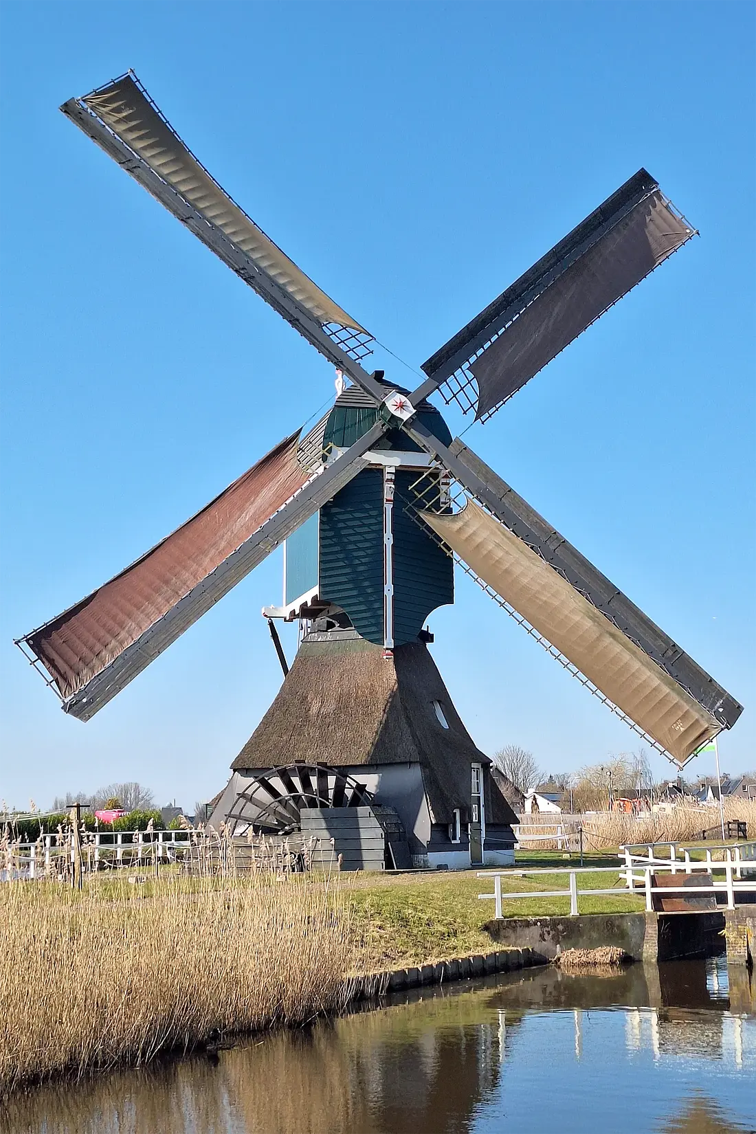 Molen 01489 Gelkenesmolen (Groot-Ammers), Jay Verkerk (08-03-2025)De molen malende tijden de eerste editie van de Alblasserwaardse molendag. | Database Nederlandse molens media-bestand