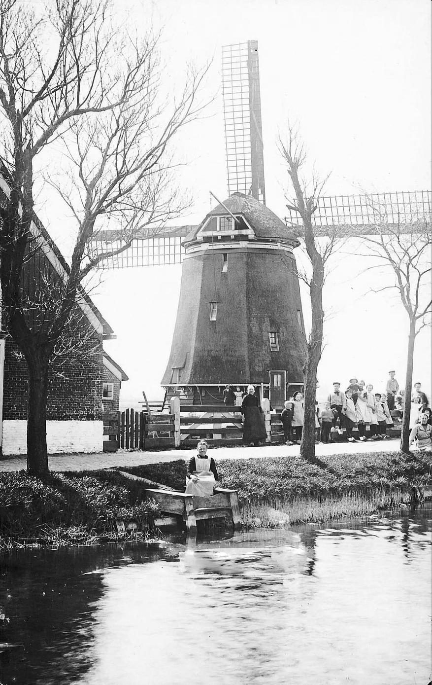 1, Molen 02557 Ringpolder, oostelijke molen (Dirkshorn), foto coll. DVM | Database Nederlandse molens media-bestand