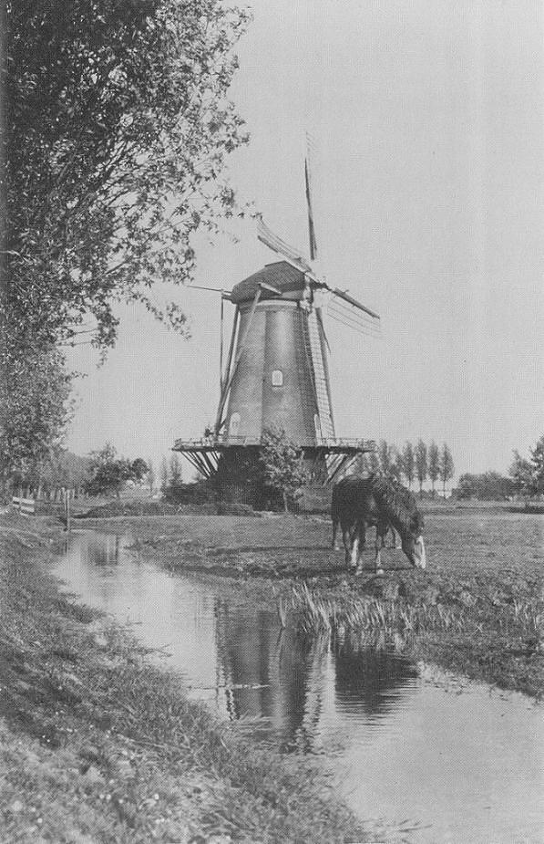 3, Molen 01271 Willem de Tweede (Dubbeldam), afb. coll. DVM | Database Nederlandse molens media-bestand
