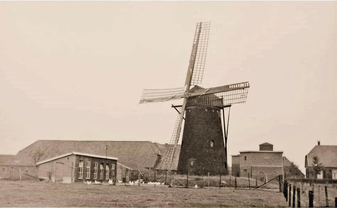 1, Molen 03108 Molen van Lukassen (Varsselder), foto coll. DVM | Database Nederlandse molens media-bestand