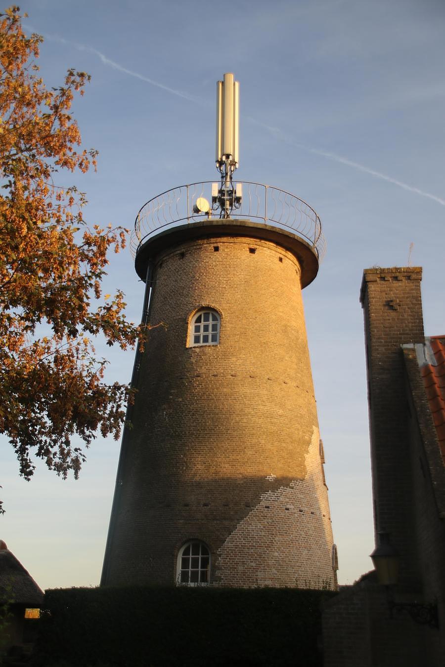 Molen 01672 Molen van Aalbregtse (Cadzand), Foto Peter Minderhoud, opname 17 oktober 2023 | Database Nederlandse molens media-bestand