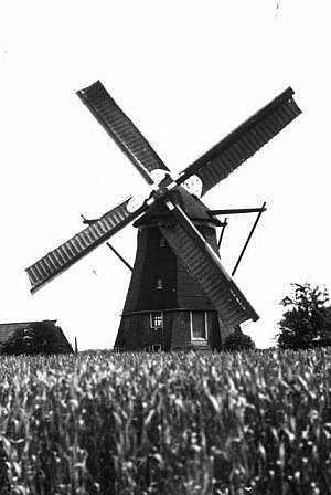 3, Molen 04897 De Grenadier (Driewegen), Foto coll. H. vd Woude | Database Nederlandse molens media-bestand