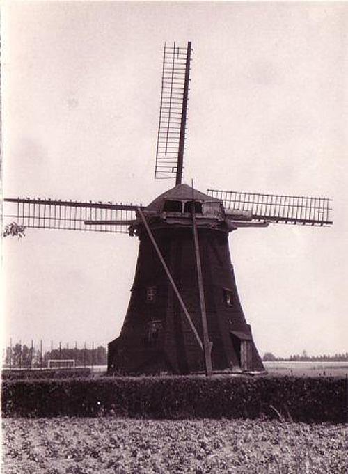 1, Molen 01973 De Zwarte Molen (Nistelrode), Foto: C.N. de Groot, opname vóór 1963 | Database Nederlandse molens media-bestand