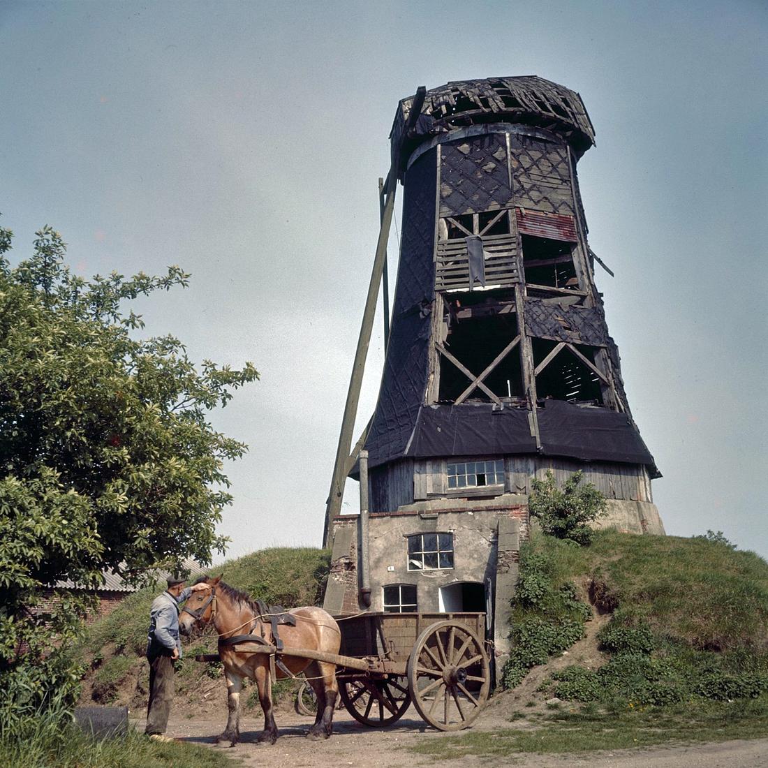 2, Molen 03118 Op Hoop van Zegen / De Oude Molen / Molen van Ter Haar (Aalten), Documentnummer: 405.067
Vervaardigingsdatum: 05-1960Coll. Rijksdienst voor het Cultureel Erfgoed | Database Nederlandse molens media-bestand
