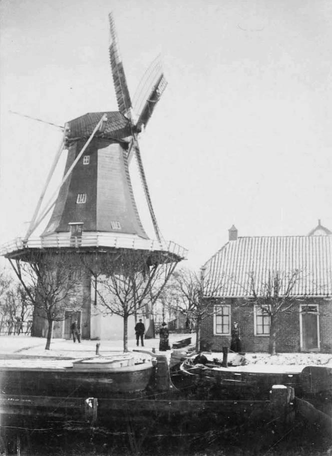Molen 06408 a De Hoop (Schouwerzijl), Afbeelding coll. DHM | Database Nederlandse molens media-bestand