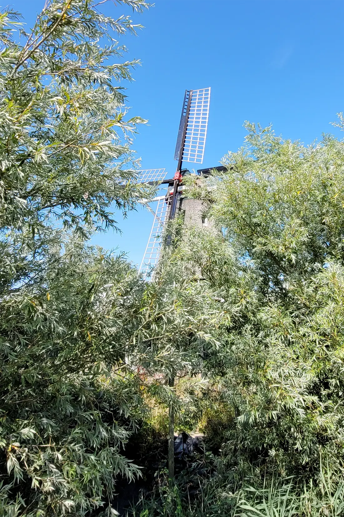 1, Molen 12837 De Klaas (Schagen), Lasse Geerling (11-08-2025)  | Database Nederlandse molens media-bestand